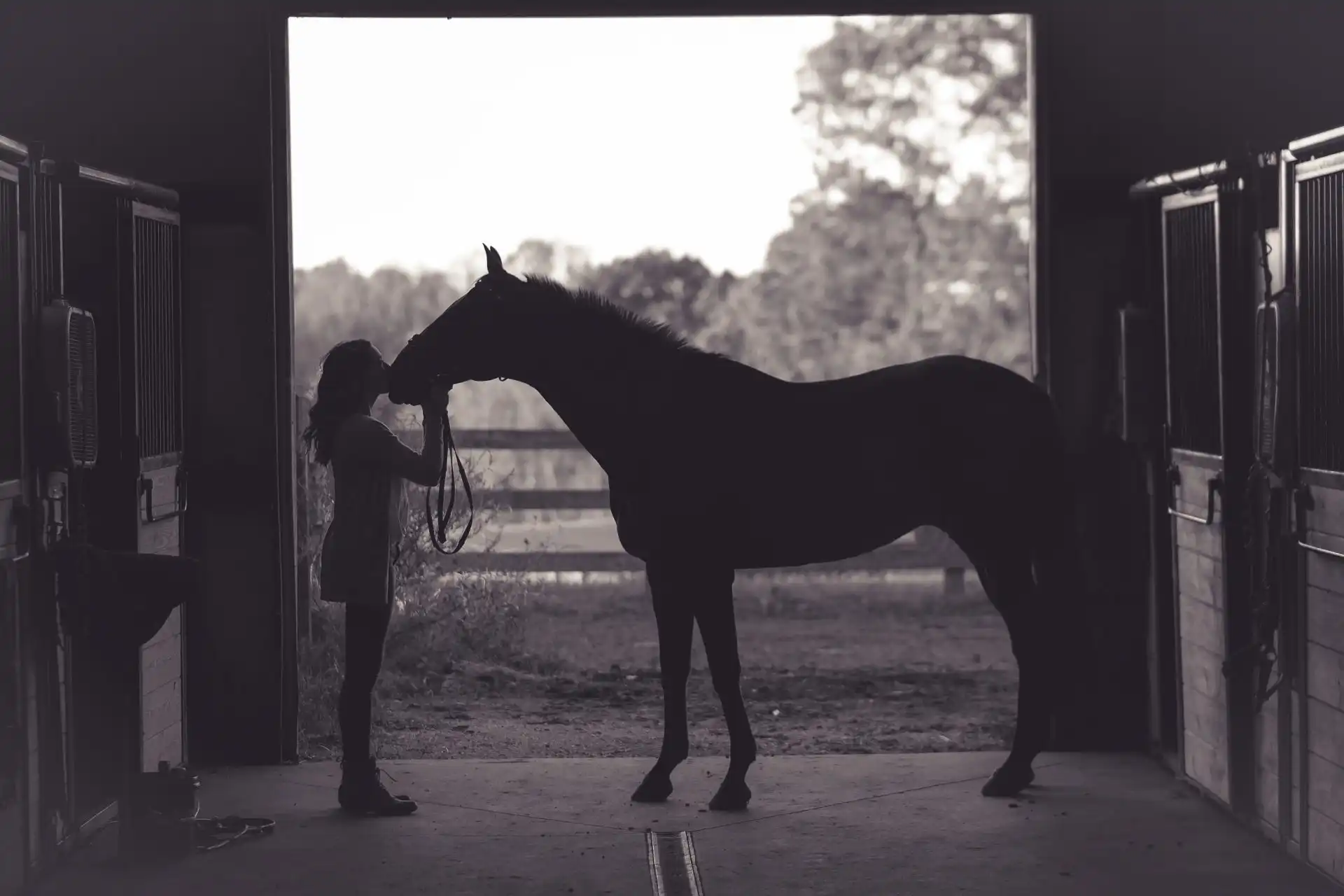 Horse and keeper in a stable, black and white