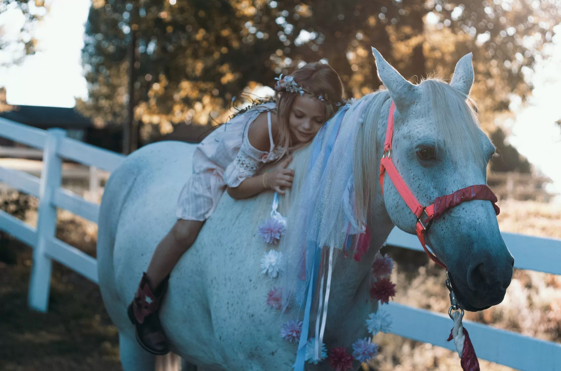 Little girl on a white horse