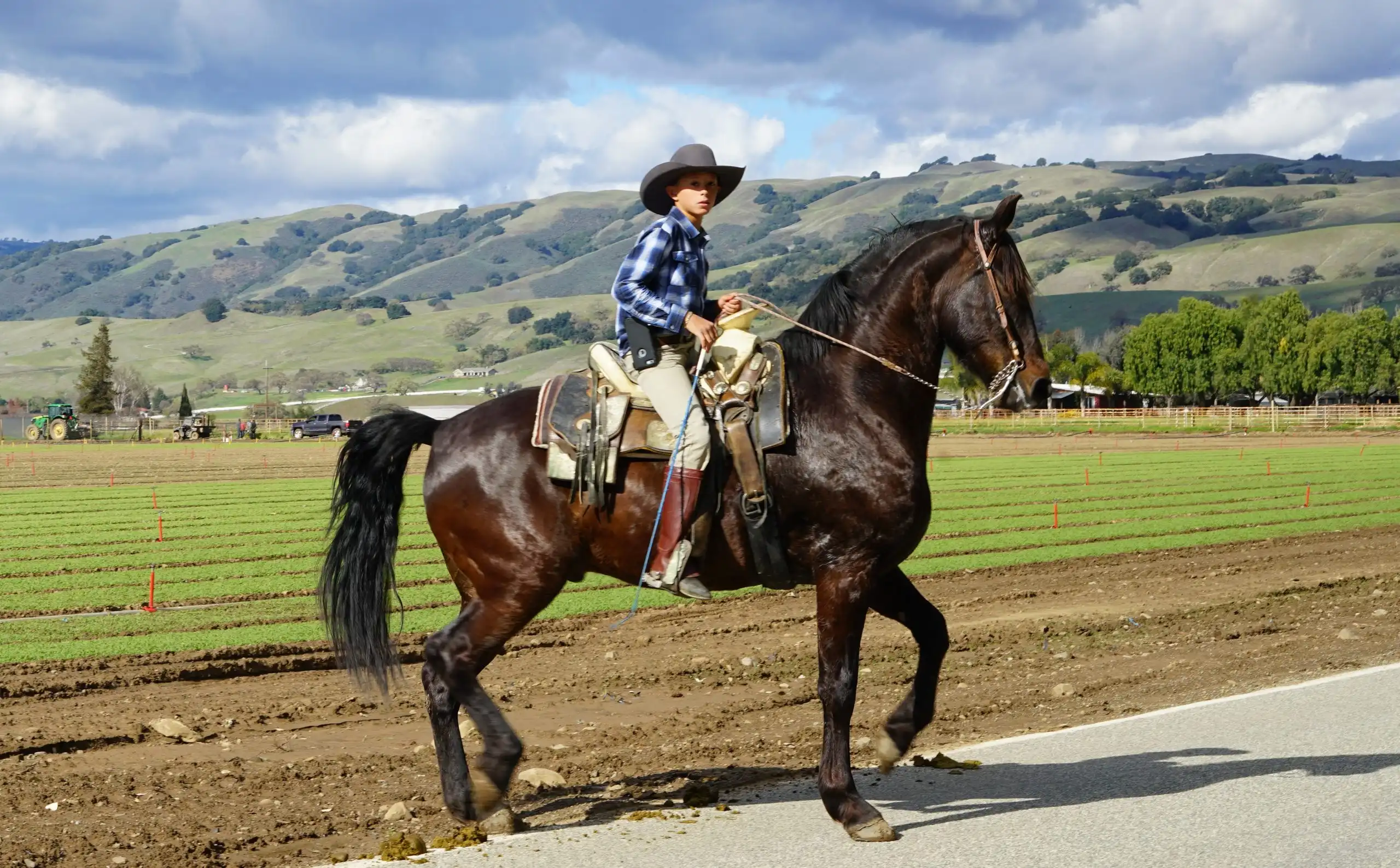 child riding a dark brow horse
