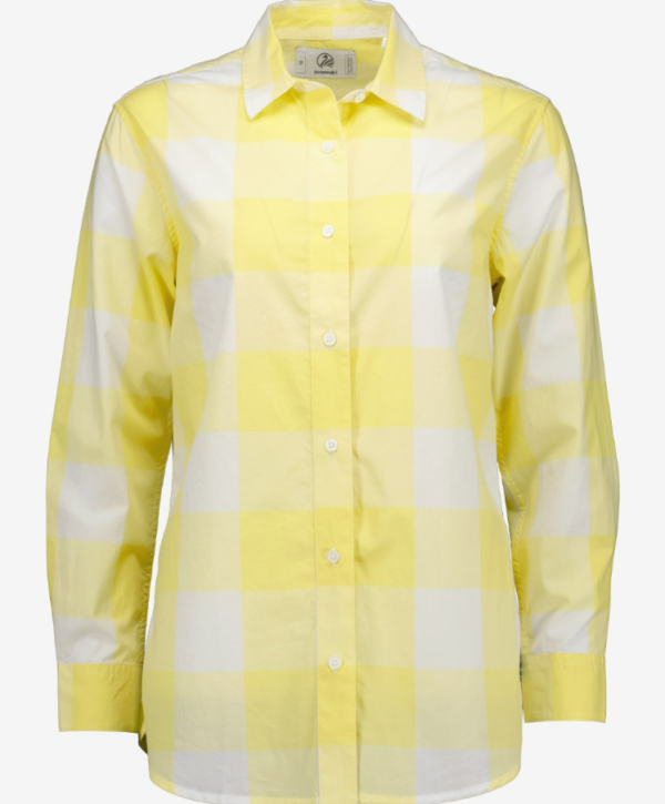 IND24 - Swanndri Wms Coromandel LS Shirt - Image 8