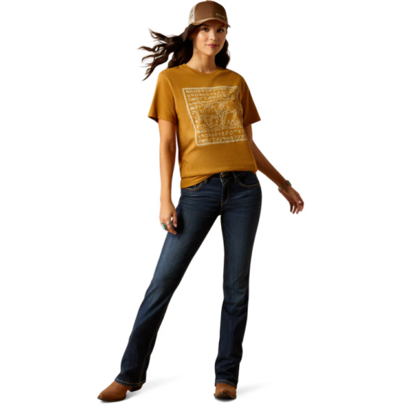 IND24 - JCA - Ariat Women's Longhorn Brand T Shirt - Image 4