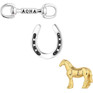 Montana Silversmiths - Enjoy the Ride Pins