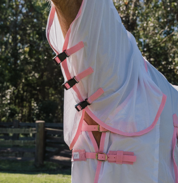 Dakota Fly Mesh Combo - White/Pink - Image 4