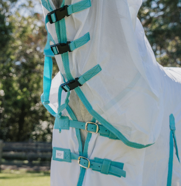 Dakota Fly Mesh Combo - White/Turquoise - Image 5